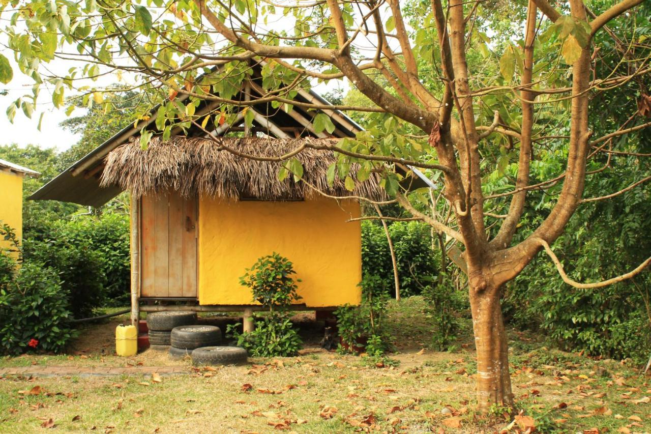 Maracumbo Lodge Mompiche Zewnętrze zdjęcie